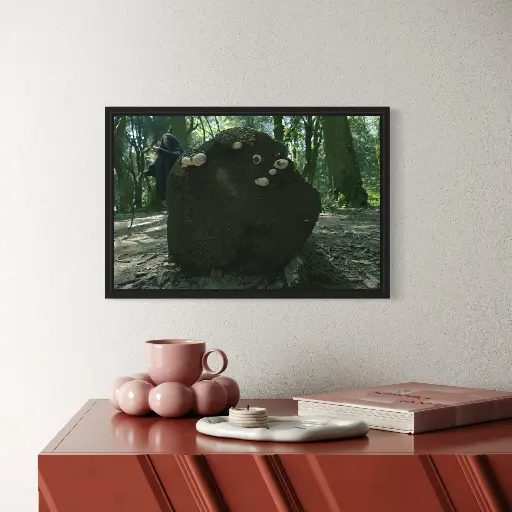 [43.18x27.94 cm] Recolección de Leña, fotografía a color